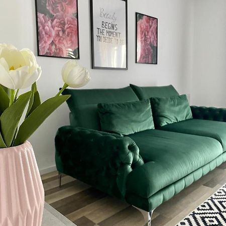 Velvet Studio Marosvásárhely Kültér fotó