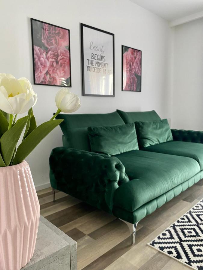 Velvet Studio Marosvásárhely Kültér fotó